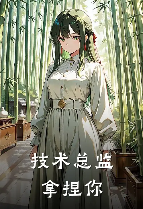 技术总监拿捏你(老王小刘)最新完结小说_完结版小说全文免费阅读技术总监拿捏你(老王小刘)